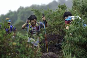 BIB: 
                            <button type="button" onclick="openModal(24741608)" class="btn btn-primary btn-sm float-right btn-popup" data-toggle="modal" data-target=".modal-high-quality">
                        <i class="fas fa-shopping-cart"></i> Add to Cart
                    </button>
                                            <button type="button" onclick="isThisMe(24741608, true)" class="btn btn-success btn-sm float-right btn-popup btn-isme hidden" data-toggle="tooltip" data-placement="bottom" title="นี่คือรูปของคุณใช่ไหม คลิกที่นี่เพื่อเอาเข้าอัลบั้ม">
                        <i class="fas fa-plus"></i> Add to album
                    </button>
                    <button type="button" onclick="isThisMe(24741608, false)" class="btn btn-warning btn-sm float-right btn-popup btn-isnotme hidden">
                        <i class="fas fa-ban"></i> Remove from album
                    </button>